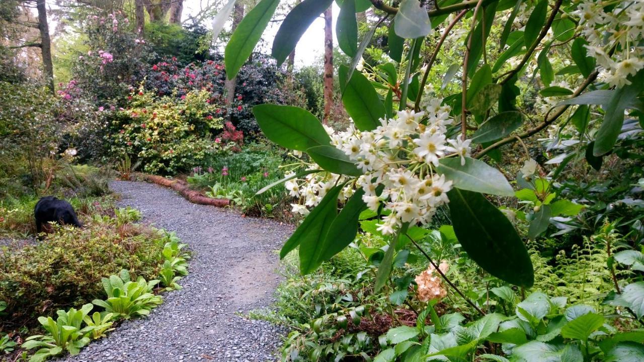 Отель Kilmokea Country Manor & Gardens Нью-Росс Экстерьер фото